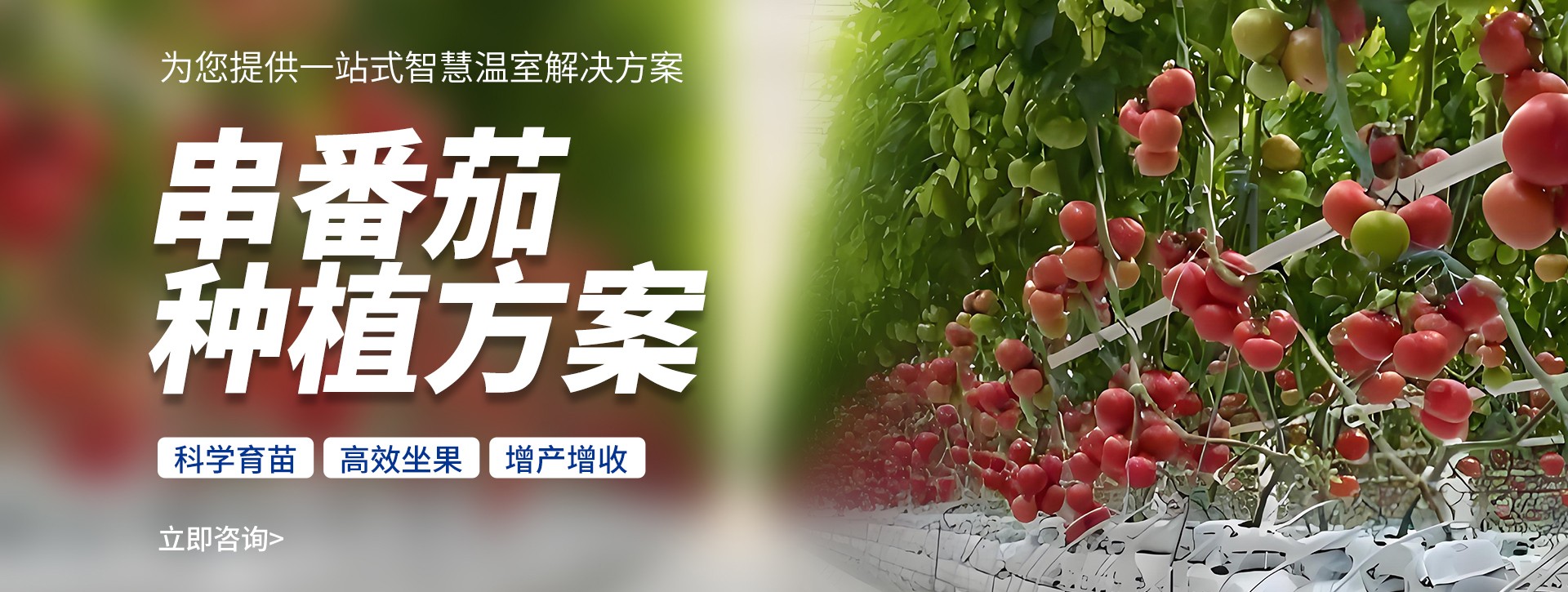 �ӱ����������O�����޹�˾